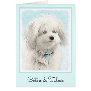 Cartão Pintura de Coton de Tulear - Arte de Cão Original