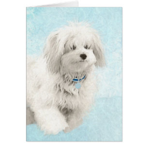 Cartão Pintura de Coton de Tulear - Arte de Cão Original