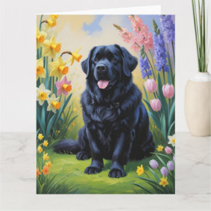 Cartão Pintura de Flores de Primavera do Cão Terra Nova