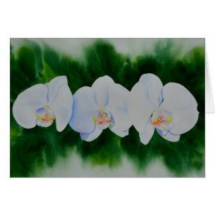 Cartão Pintura de orquídea branca Elegante tropical