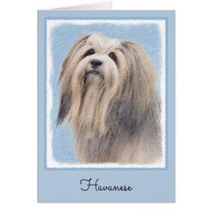 Cartão Pintura (de prata) de Havanese - arte original