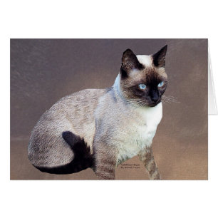 Cartão Pintura do gato Siamese