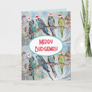 Cartão Pintura em Aquarela de Natal do Papai Noel Budgie
