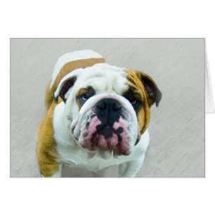 Cartão Pintura em Bulldog - Arte Cão Original Bonita