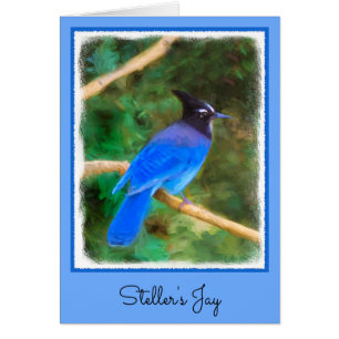 Cartão Pintura em Jay de Steller - Arte original sobre p
