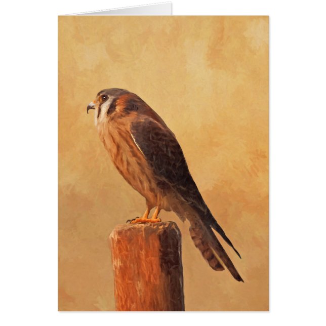 Cartão Pintura em Kestrel Americano - Arte original sobre (Frente)