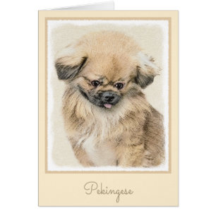 Cartão Pintura em Pekingese - Arte Cachorra Original