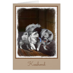 Cartão Pintura em tempo de reprodução de Keeshond - Art