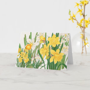 Cartão Pintura em Xilogravura de Narciso, Tanigami Kônan,
