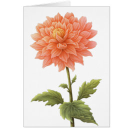 Cartão Pintura Floral Laranja Dahlia Flor