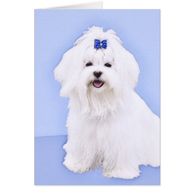 Cartão Pintura Maltesa - Arte Cachorra Original (Frente)