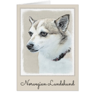 Cartão Pintura Norueguesa De Lundehund - Arte Original De