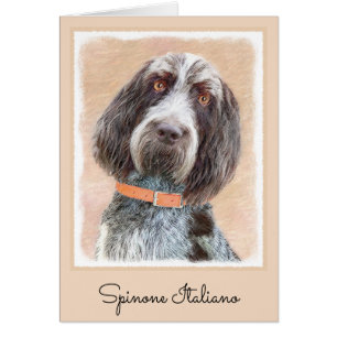 Cartão Pintura Spinone Italiano - Arte Cachorro Original