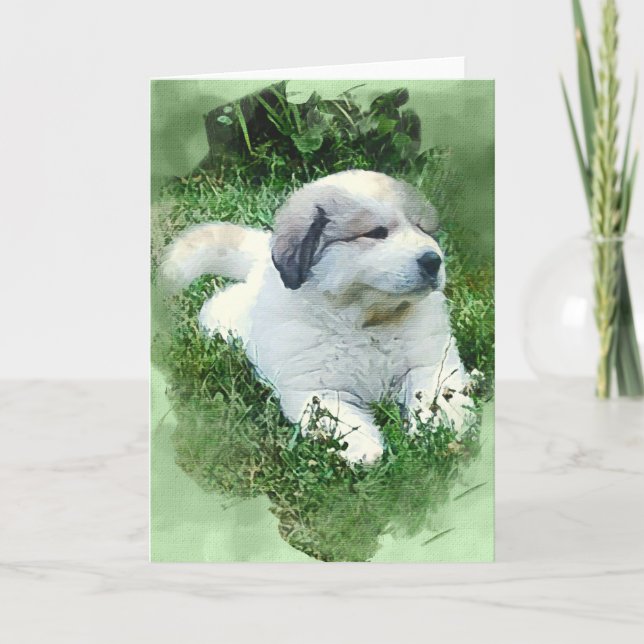 Cartão Pirenéus de Excelente de Aquarela Remoção de Puppy (Frente)