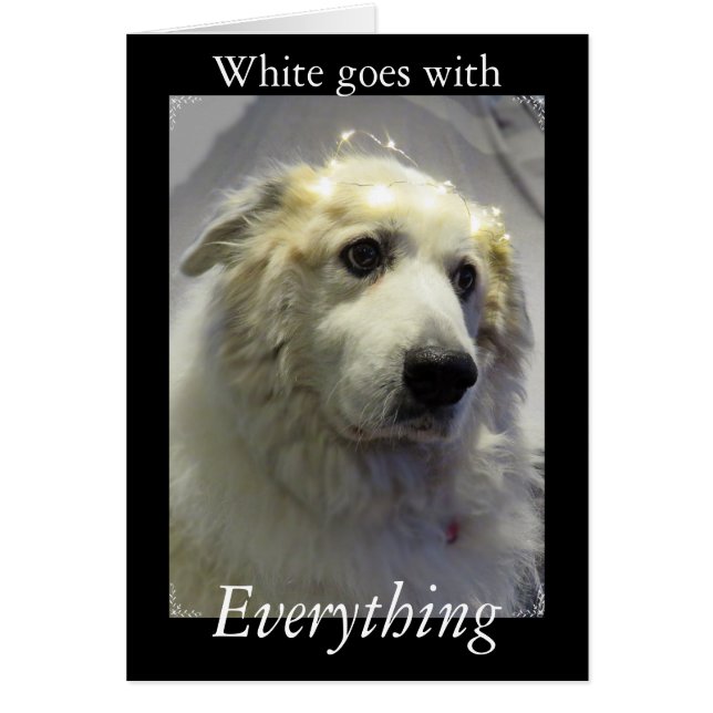 Cartão Pirenéus excelentes, Gentil Gigante (Frente)