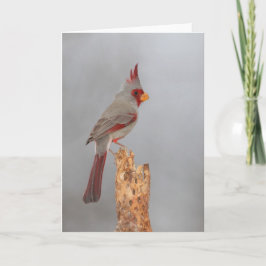 Cartão Pirexia num galho