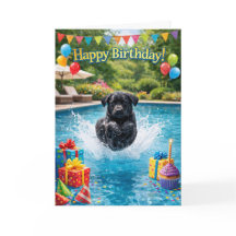 Piscina divertida para filhotes de Labrador fazend