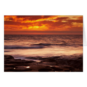 Cartão Piscinas de Maré La Jolla