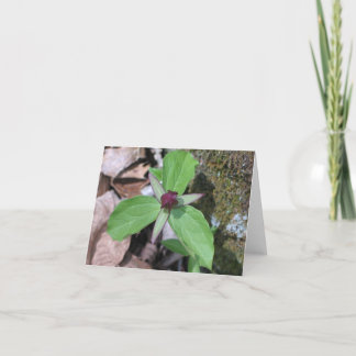 Cartão Pisco de peito vermelho do acordar - personalizado