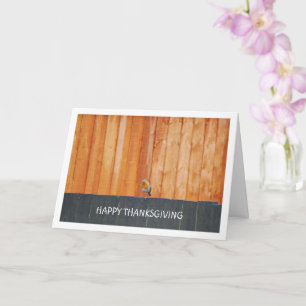 Cartão Pisco-de-peito-vermelho no Cerca