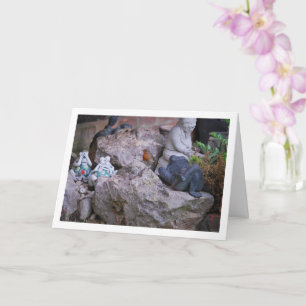 Cartão Pisco-de-peito-vermelho no jardim de rochas