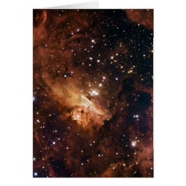 Cartão Pismis 24 estrelas castanhas NASA