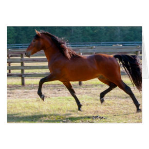 Cartão Piso altamente