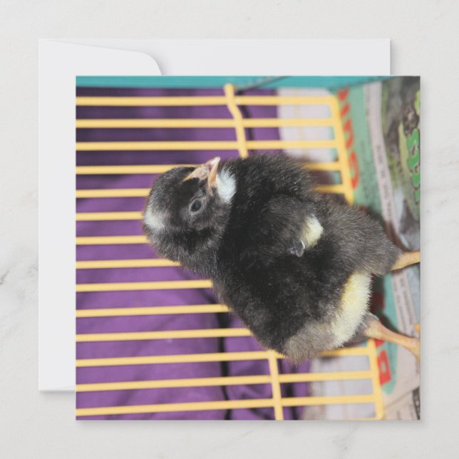 Cartão Pista (Frente)