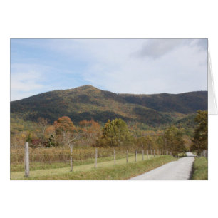 Cartão Pista de Hyatt