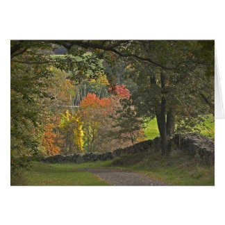 Cartão Pista do país