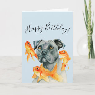 Cartão Pit Bull Dog e Goldfishes   Feliz Aniversário