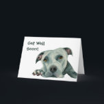Cartão Pit Bull Dog | Fique Bem Em Breve<br><div class="desc">Esta é uma pintura aquosa de um cão de cabra de cinza deitado no chão. Ela está olhando para cima e sua boca está esmagada no chão. Os touros de poço tendem a ter uma cabeça maior e eu acho que eles são adoráveis por isso!</div>