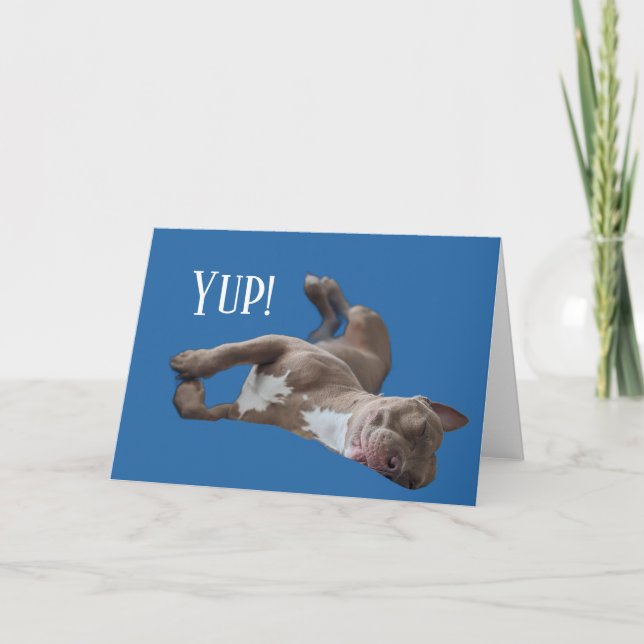 Cartão Pit Bull Engraçado (Frente)