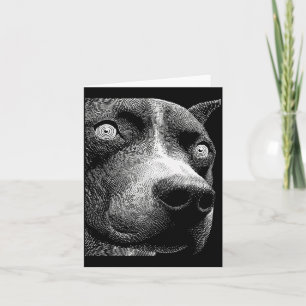 Cartão Pit Bull Hipnótico Olhos Estranhos Weirdcore Assus