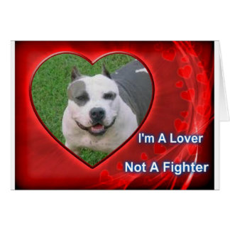 Cartão Pit Bull Lover