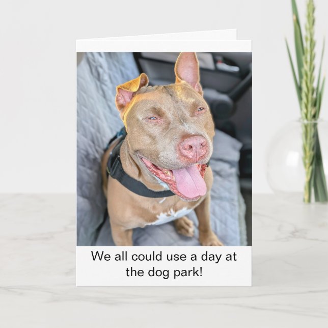 Cartão Pit Bull Sorridente Relaxe (Frente)