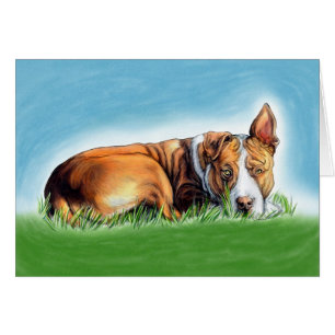 Cartão Pit Bull Te Enrola