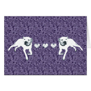 Cartão Pitbull americano branco com corações/roxo