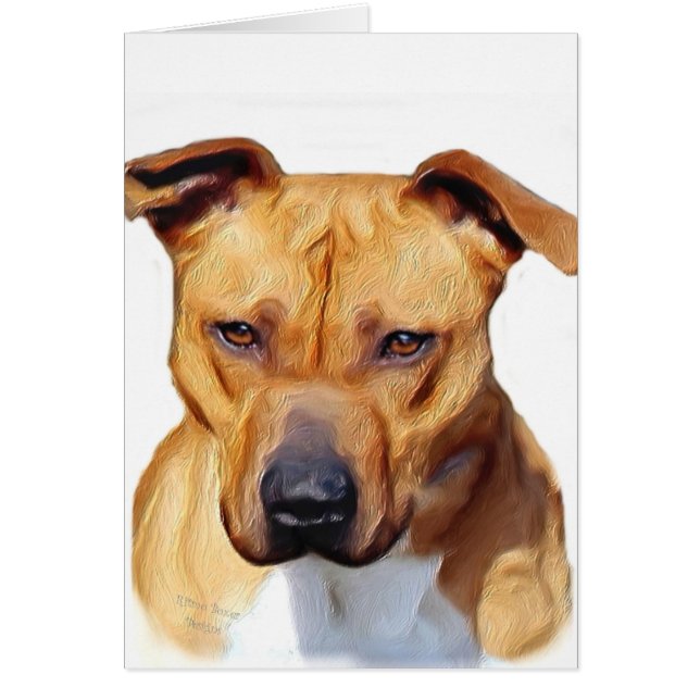 Cartão Pitbull Terrier (Frente)