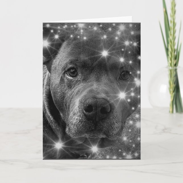 Cartão Pitbull Terrier Cinza com Brilhos Amante de Cachor (Frente)