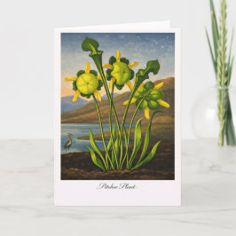 Cartão Pitcher Plant — Modern Botanical Reinterpretation