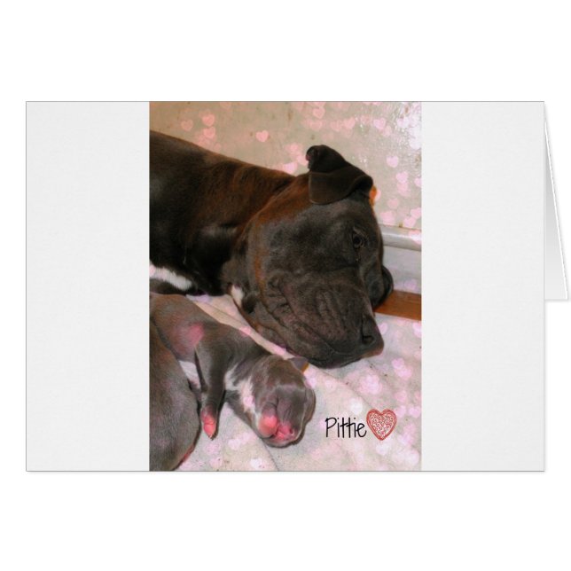 Cartão Pittie Love (Frente Horizontal)