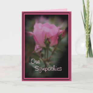 Cartão Pk Knockout Rose Sympathy - personalize qualquer o