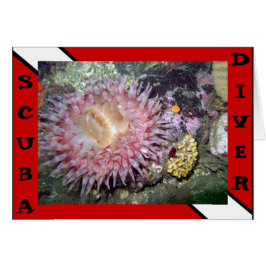 Cartão Placa Anêmona do Diver Scuba
