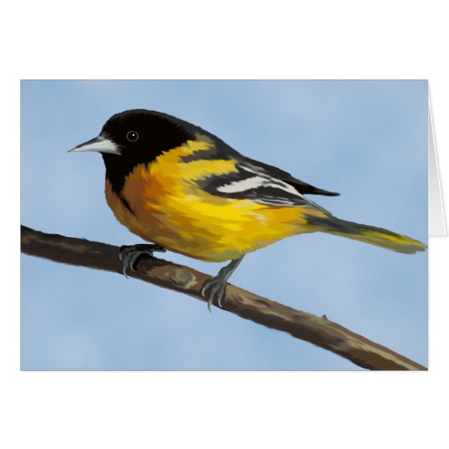 Cartão Placa Baltimore Oriole (Frente horizontal)