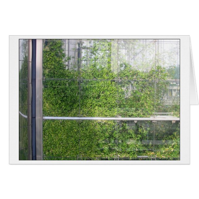 Cartão Placa BAMBOOS (Frente Horizontal)