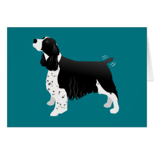 Cartão Placa básica de espanhol Black English Springer