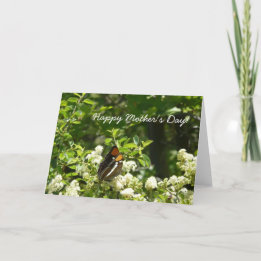 Cartão Placa borboleta de Dia de as mães feliz