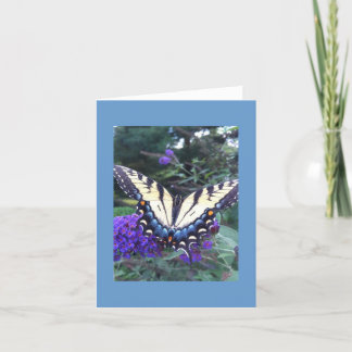 Cartão Placa Butterfly 2