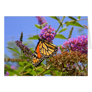 Cartão Placa Butterfly Lilac